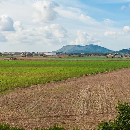 Puca -sa Pobla- * Sa Pobla
